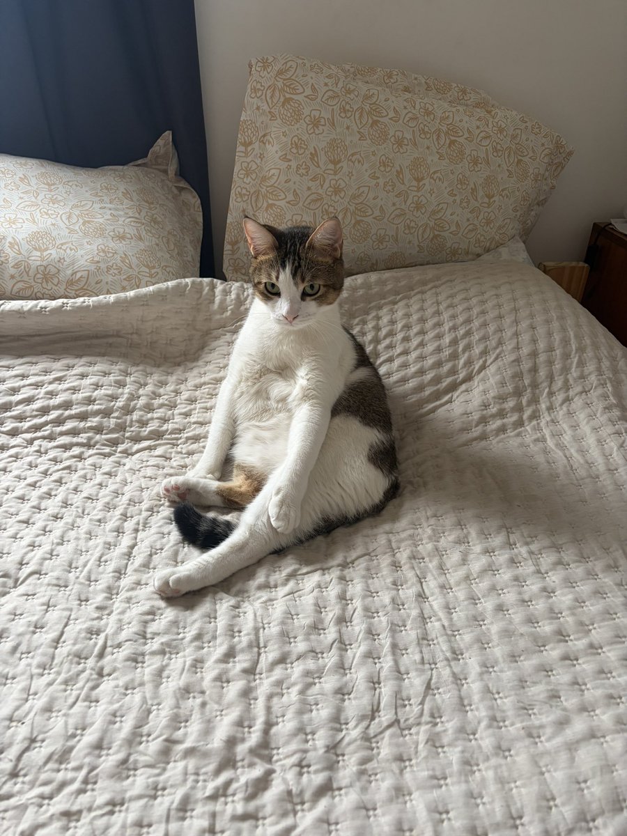 Emilia Hernández tweet media