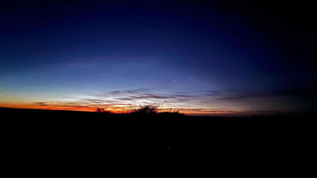 حنظلة tweet media