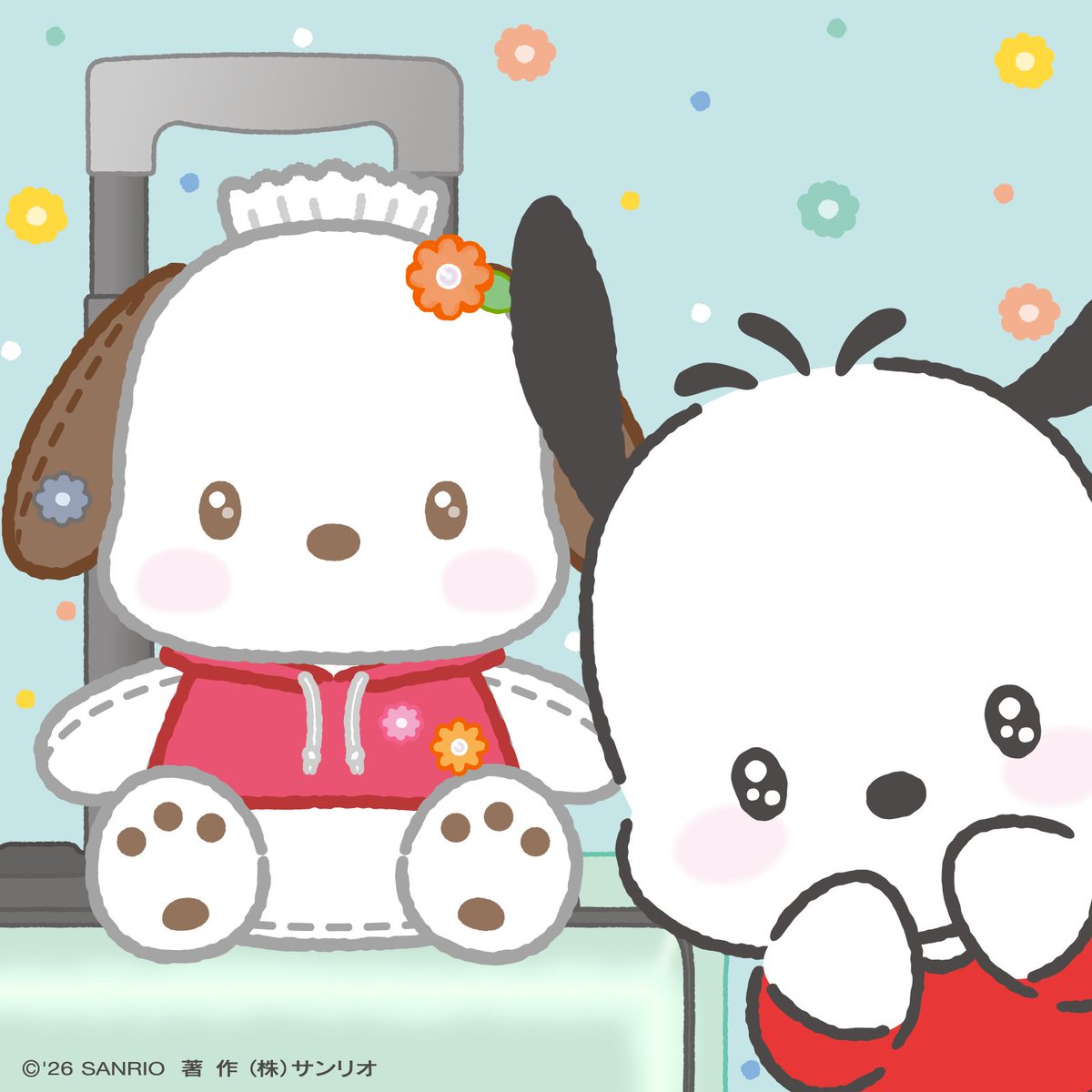 はぴだんぶい【公式】 tweet media