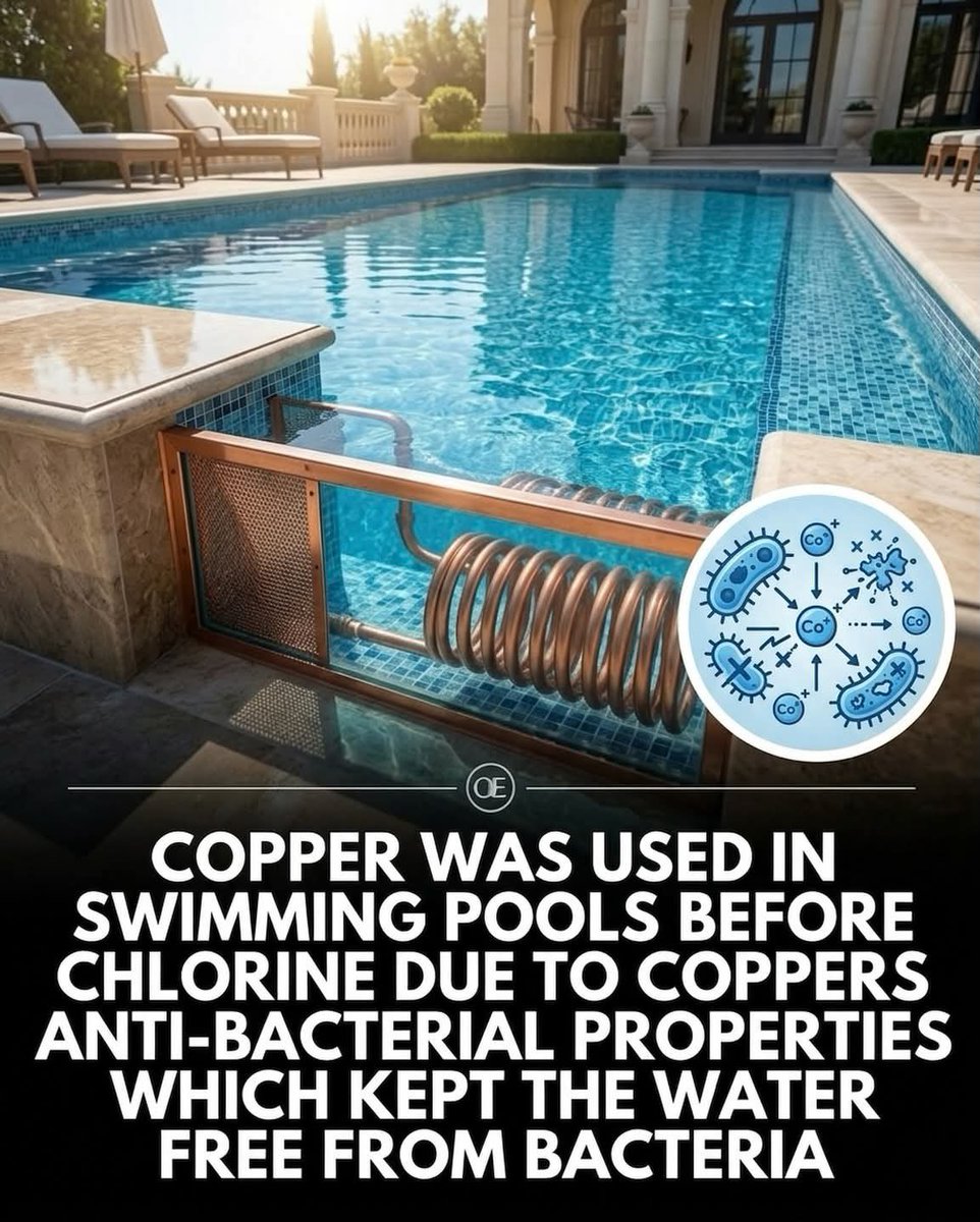 Carnivore Aurelius ©🥩 ☀️🦙 tweet media