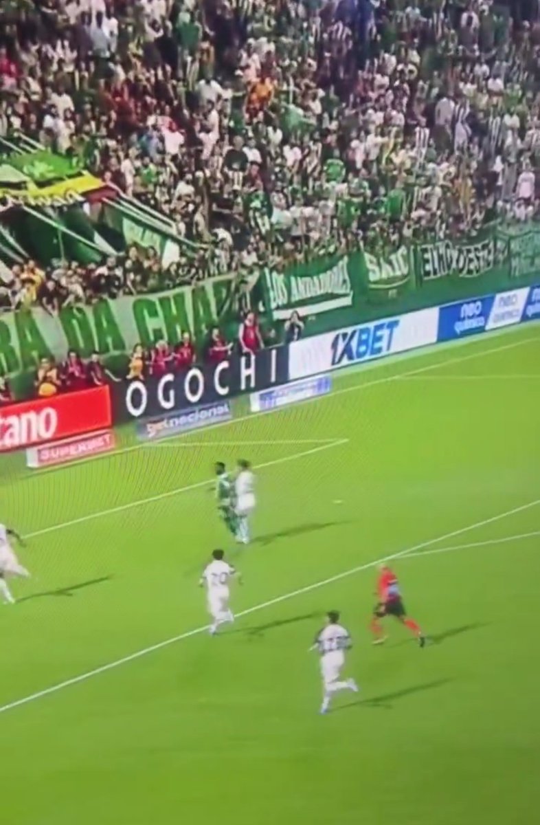 RoubeiaSEP tweet media