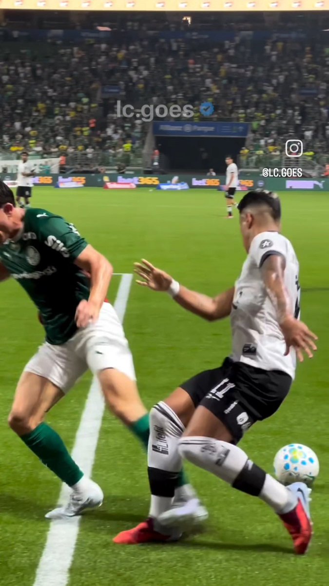 RoubeiaSEP tweet media