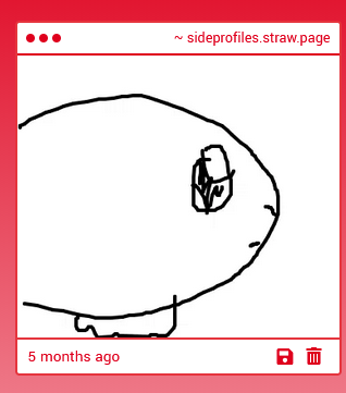 Side profiles for drawing reference tweet media