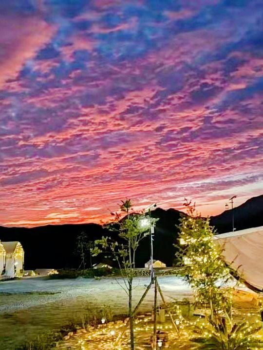 Renato Sales tweet media