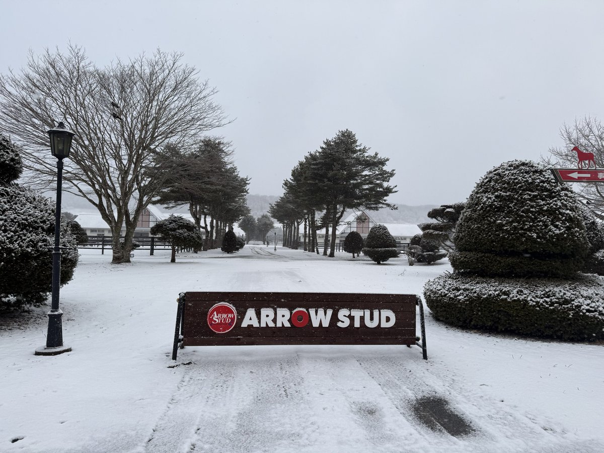 アローの中の人(非公式) tweet media