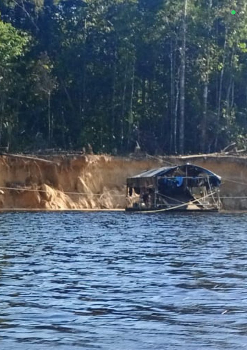 Fritz Sanchez tweet media