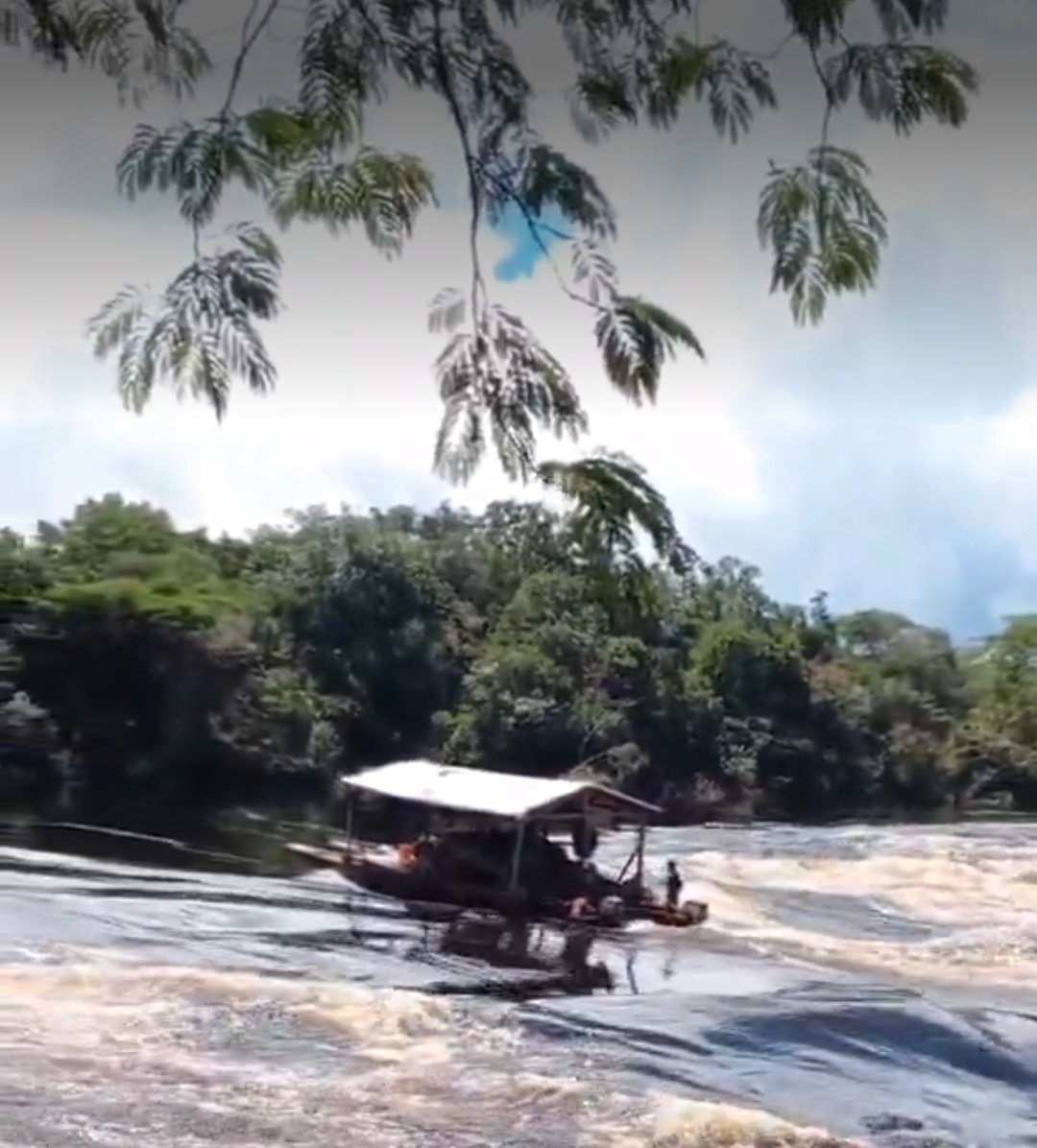 Fritz Sanchez tweet media