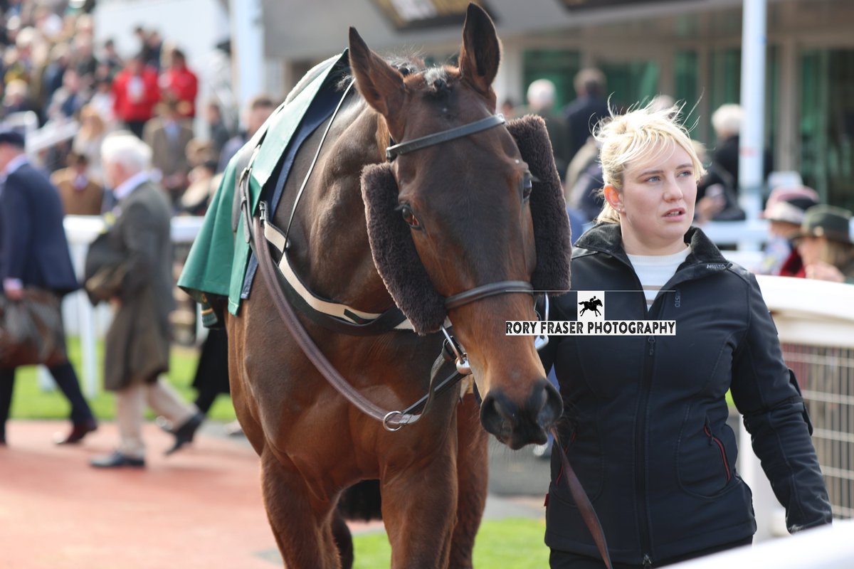 Rory Fraser Photography🤘 tweet media