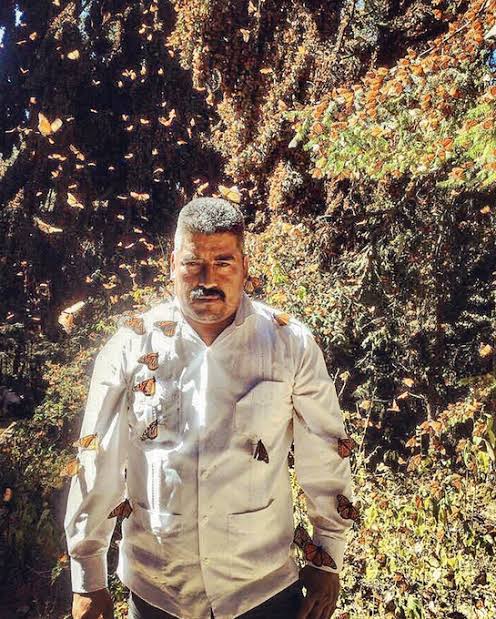 Elisa Servín tweet media