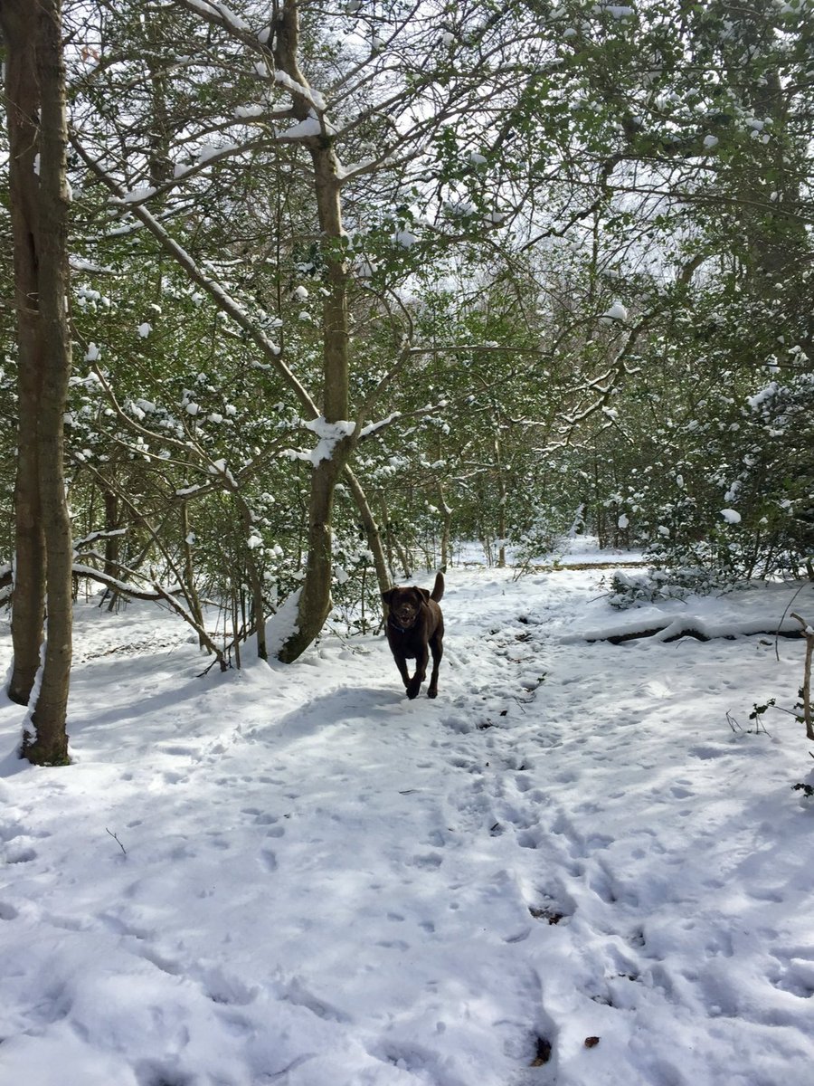 Absolutely Wild tweet media