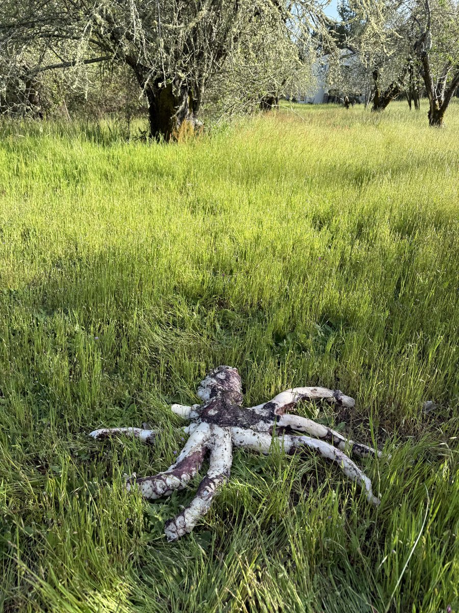 WalterLloydWaterson tweet media