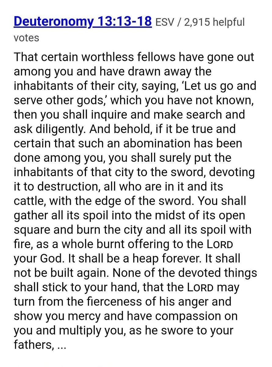 gato fumador tweet media