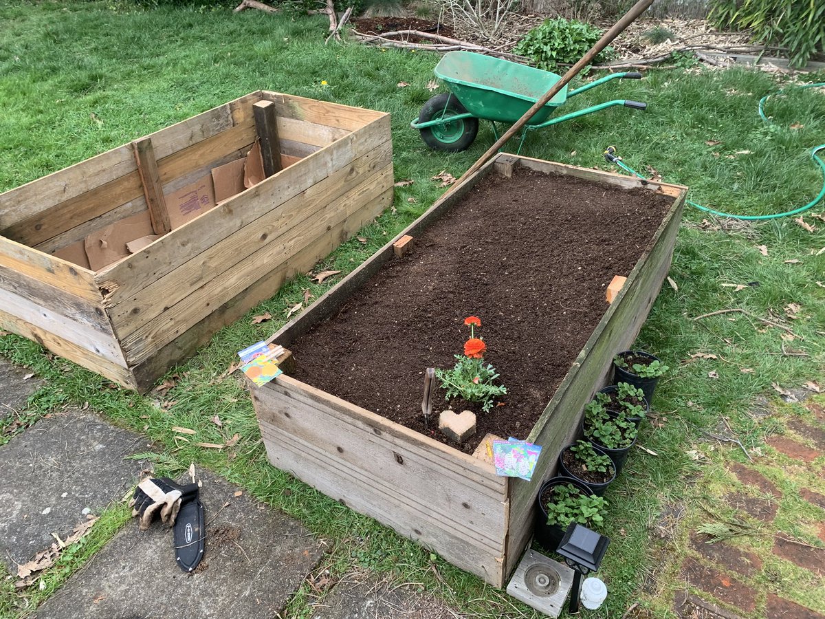 Cricket Psychopomp ΘΔ tweet media