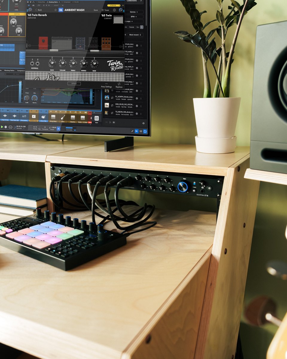 Fender Studio tweet media