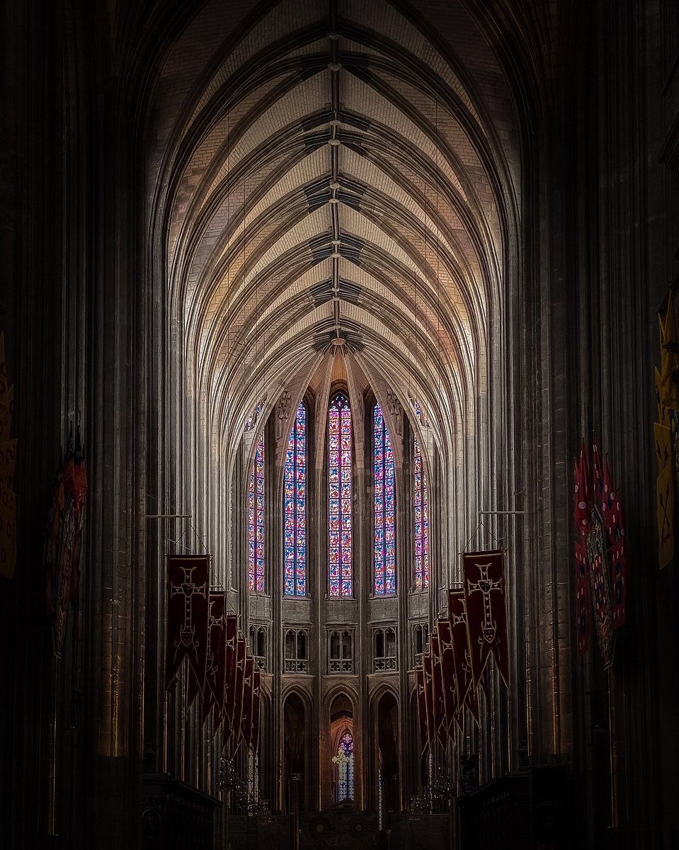 Miscelánea🍀 tweet media