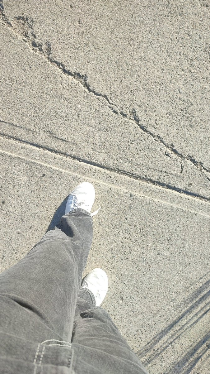 Pandoratj tweet media