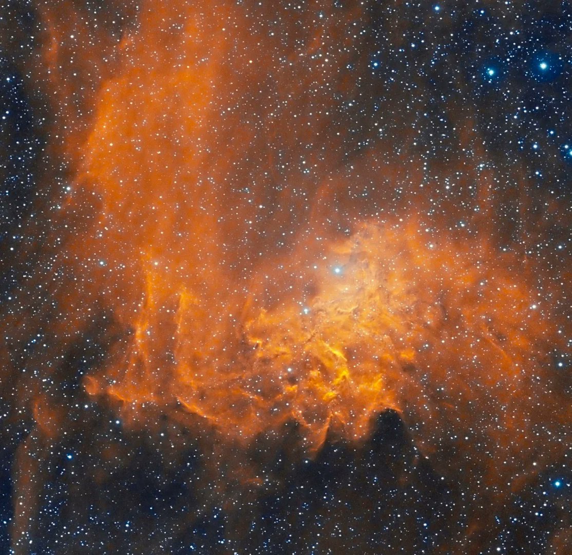 Joerg Drittenbass tweet media