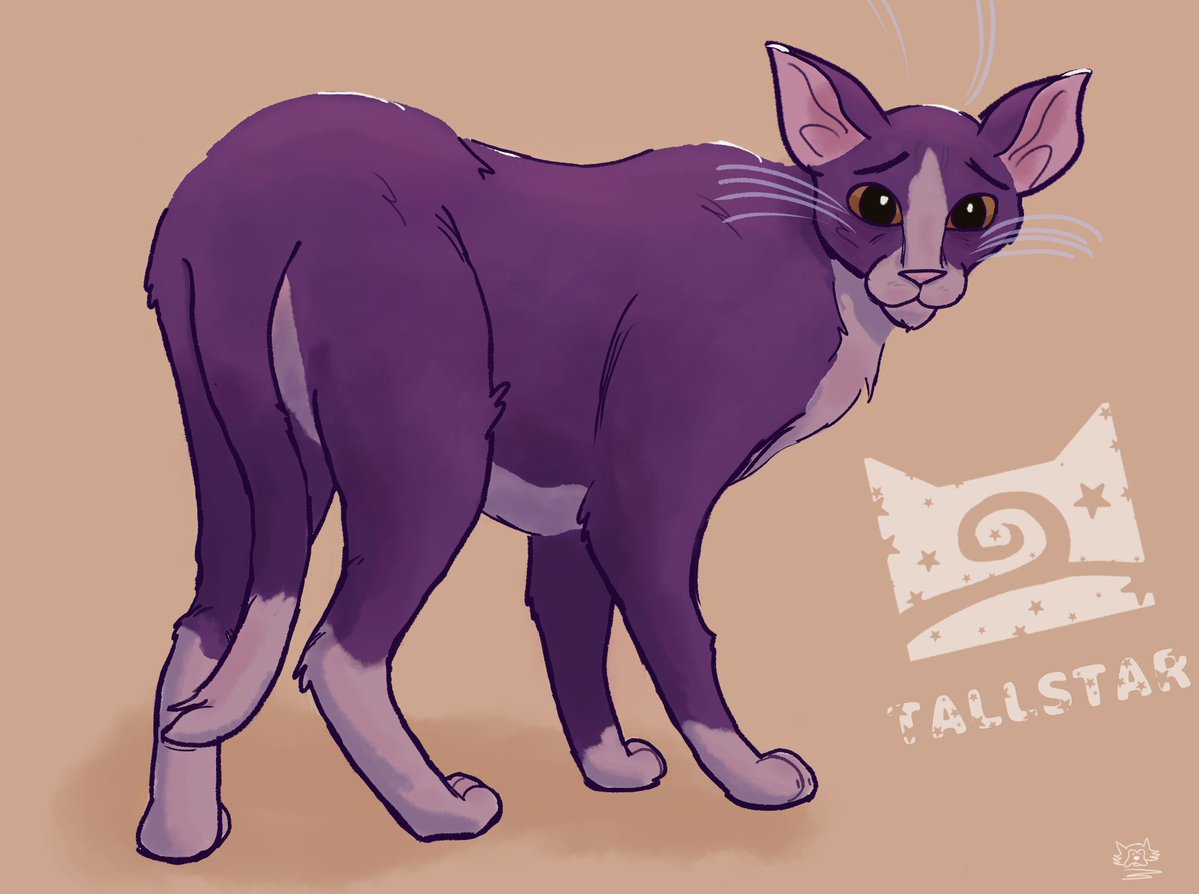 Furreyra tweet media