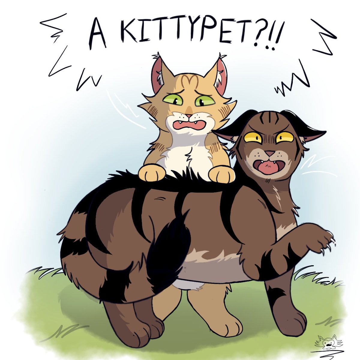 Furreyra tweet media