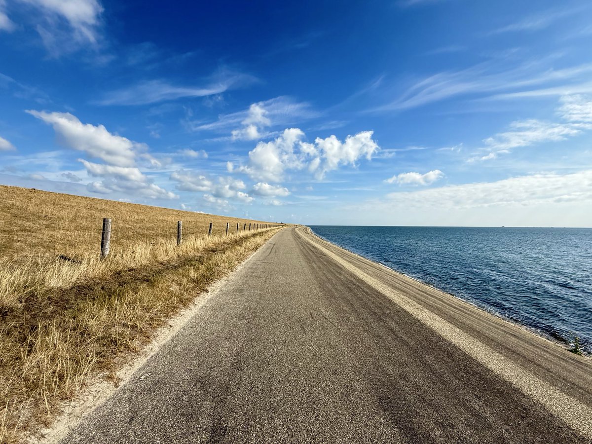 Rob Hoeijmakers tweet media