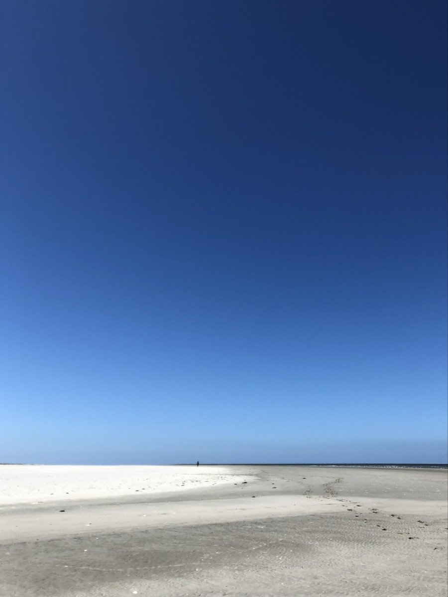 Rob Hoeijmakers tweet media