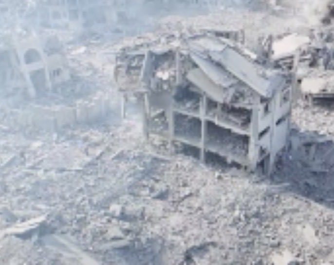 Gavin Reid tweet media