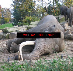 I COULD PROBABLY USE THESE TO CUT THE BLUE WIRES tweet media