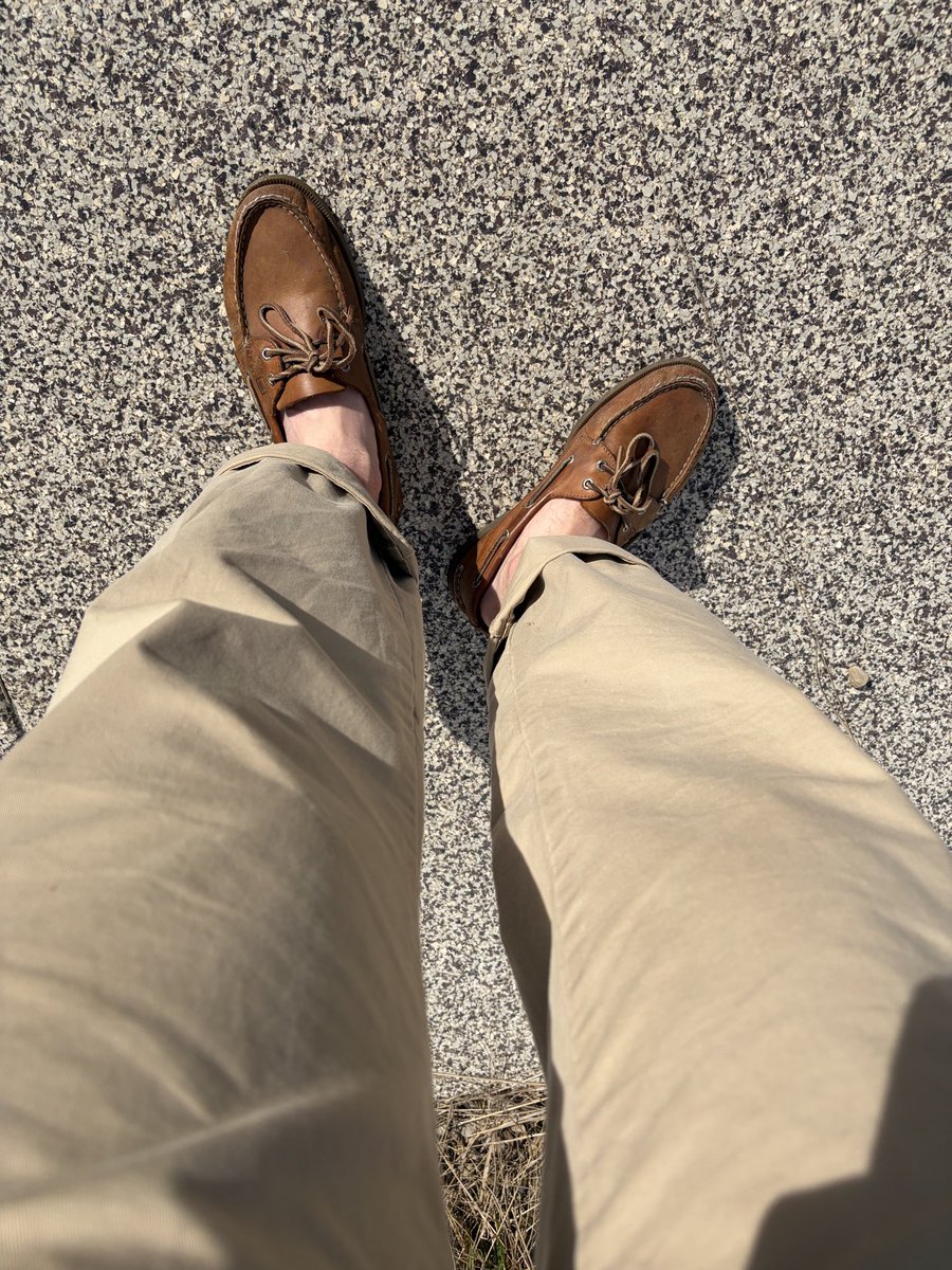 Morgan Riley🌲 tweet media