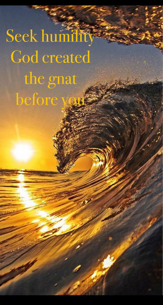 🌿Alita Gail🌿 tweet media