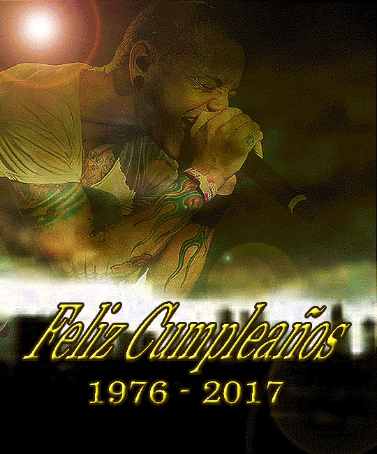 🃏Marcos Toon🃏 tweet media