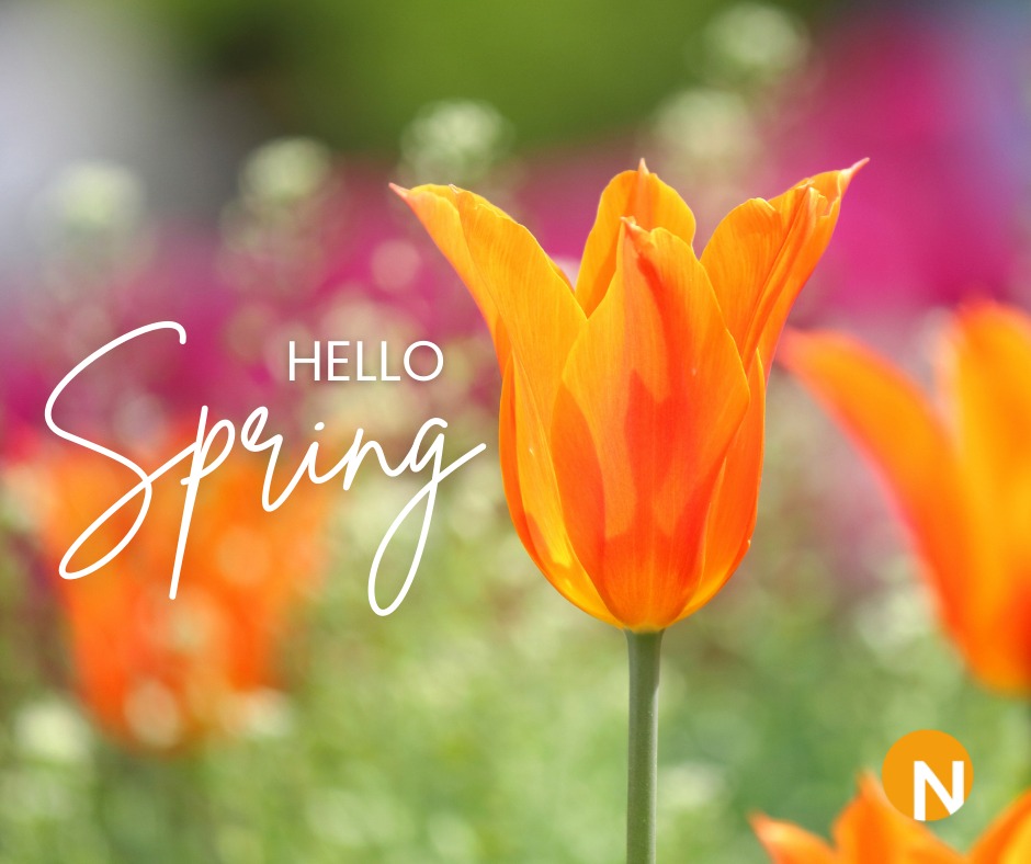 Nextlink Internet tweet media