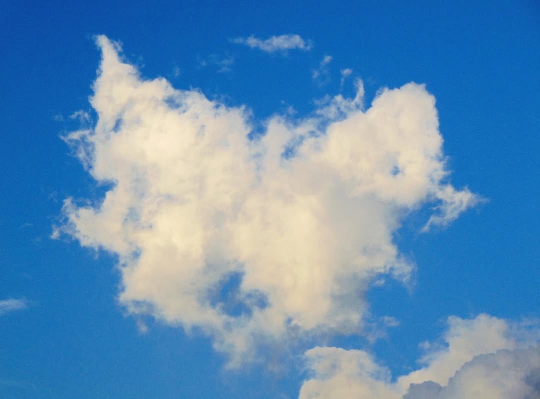 daily sanrio ʚ♡ɞ tweet media