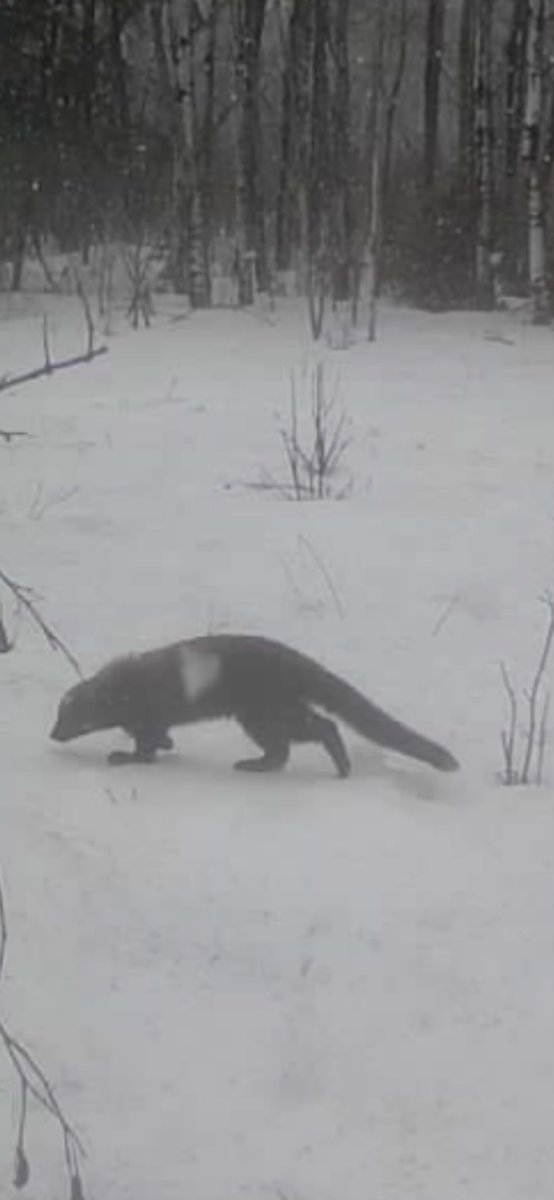 Big Stink 🧢🏴‍☠️ tweet media