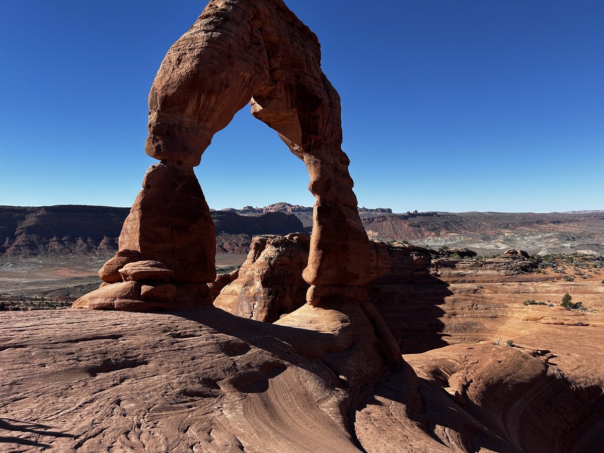 Caleb Whitehouse🇵🇸 tweet media