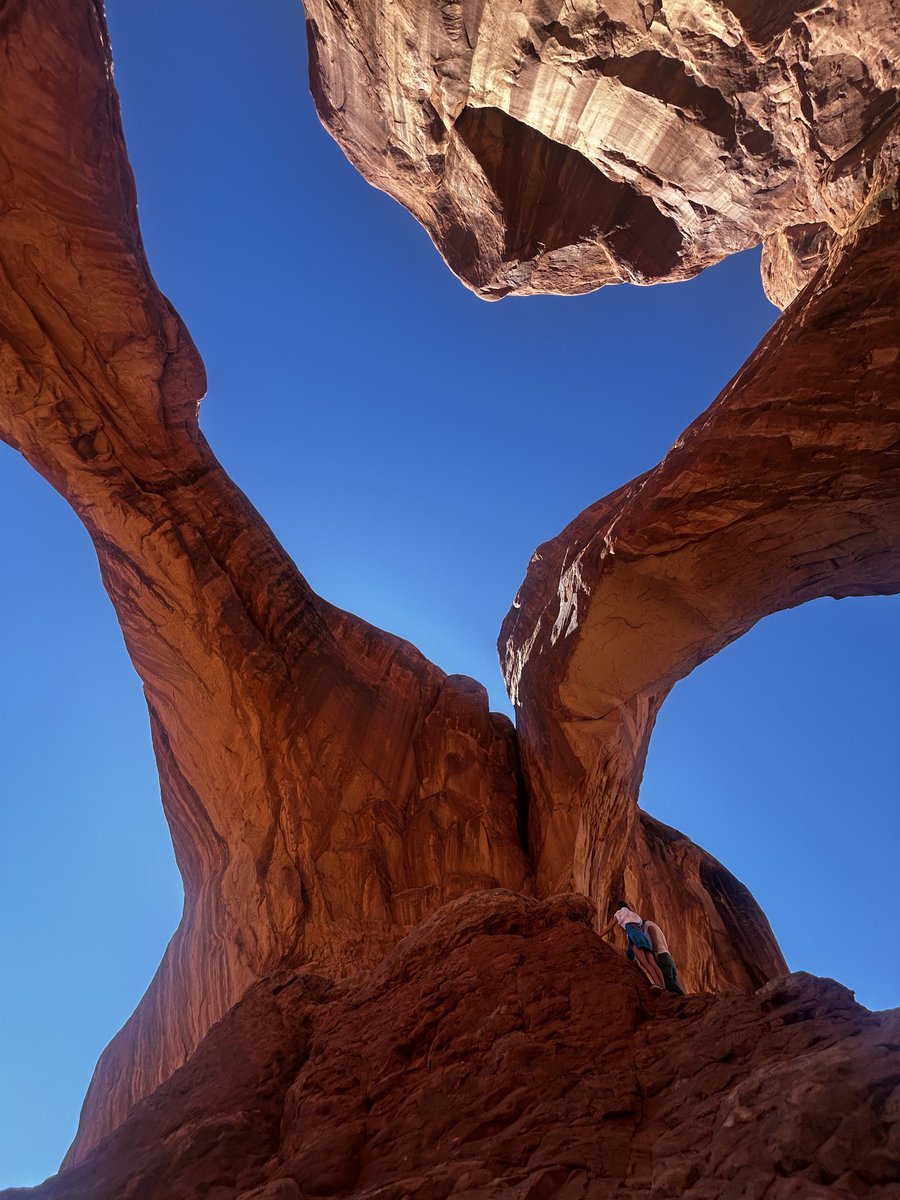 Caleb Whitehouse🇵🇸 tweet media