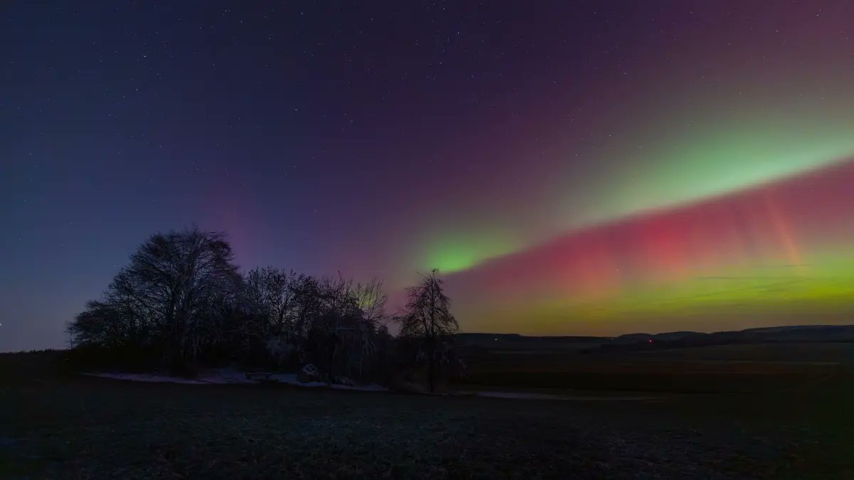 @SWPde_bot tweet media