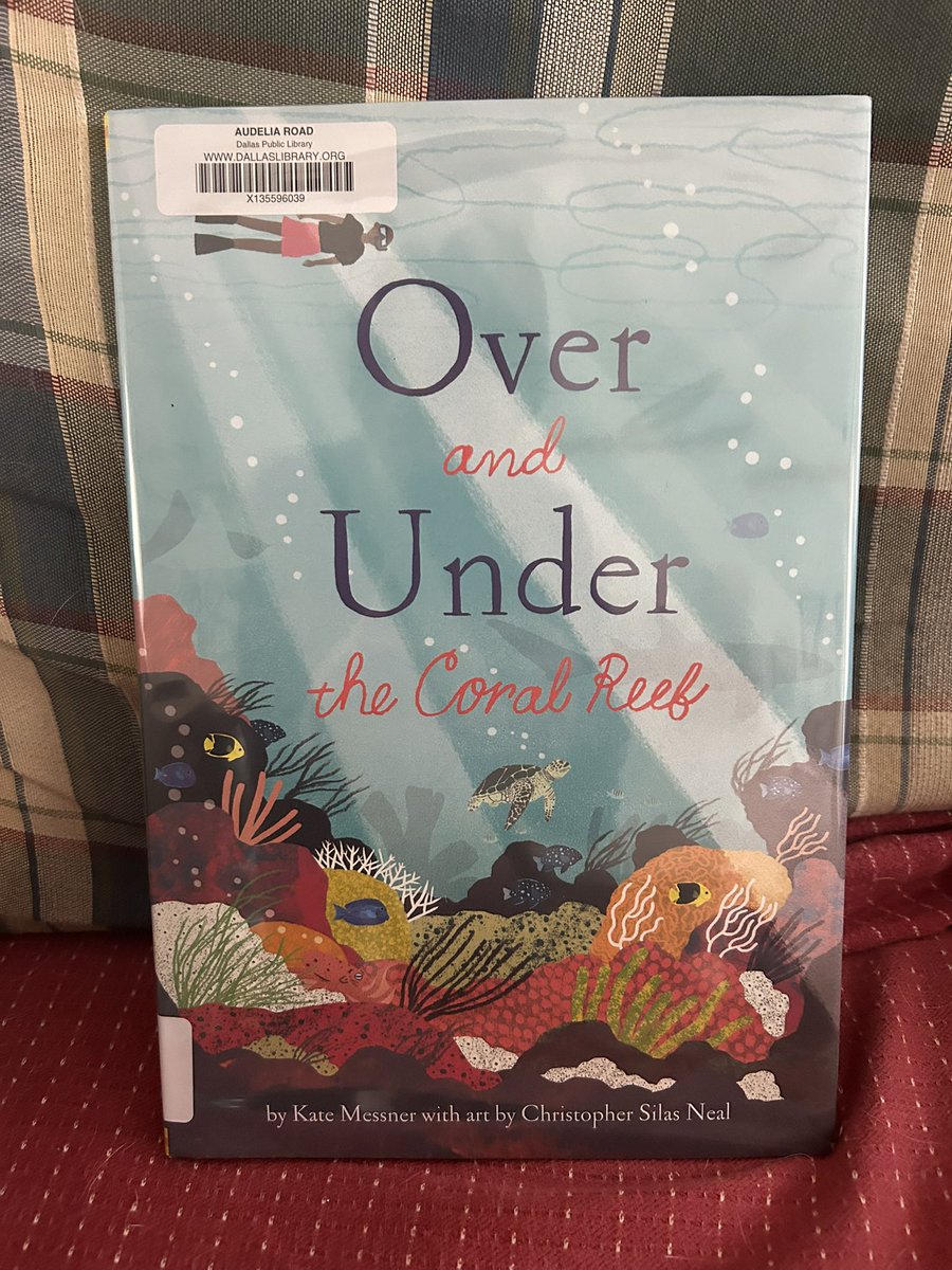 Bethe Marie Lehman tweet media