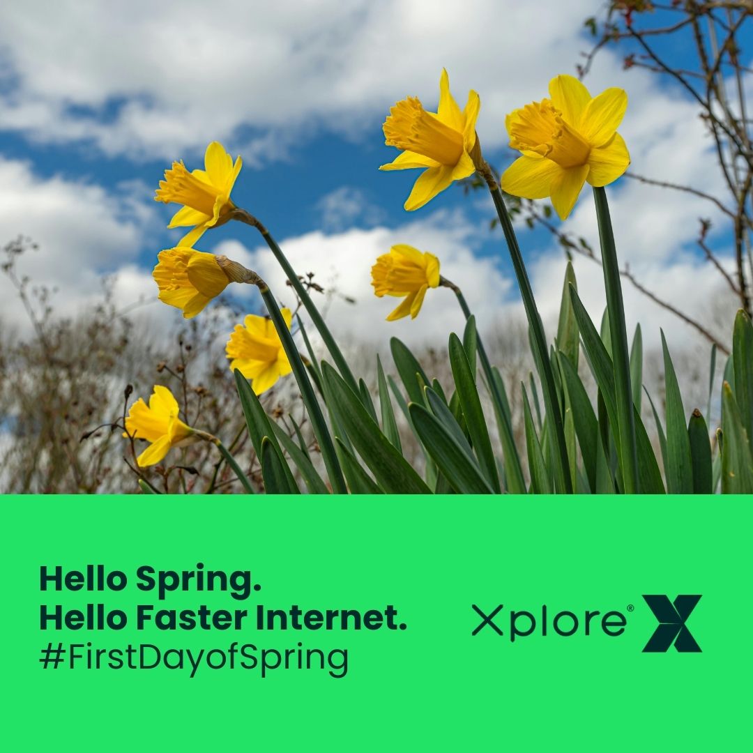 Xplore tweet media