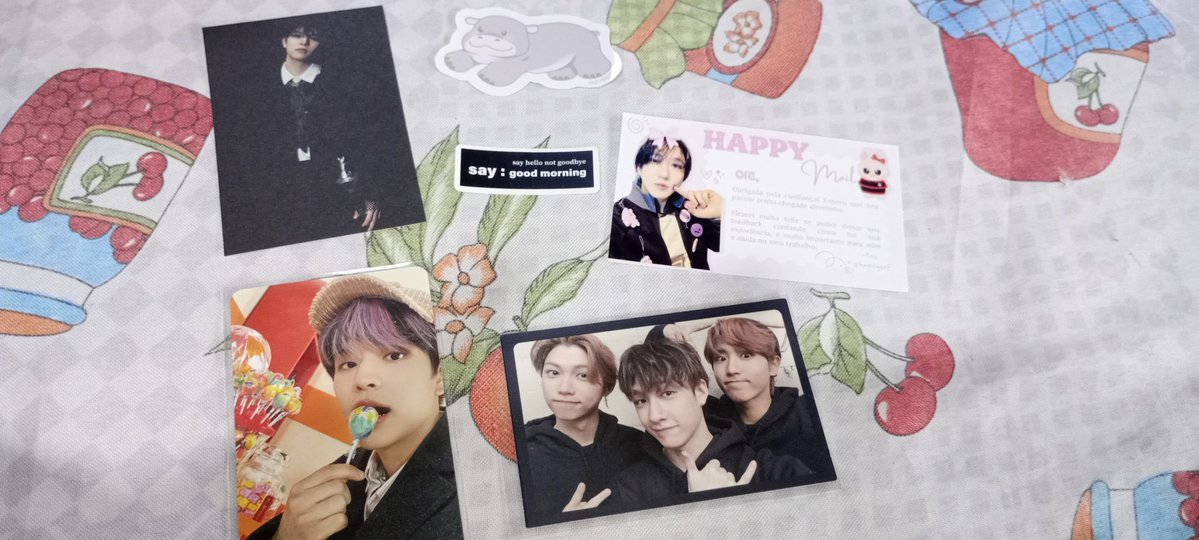 nemo ♡'s binnie VAI VER O SKZ (dnv* tweet media