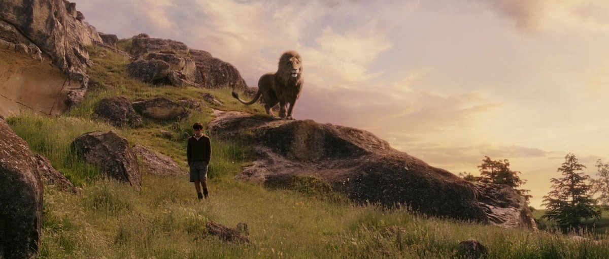 tyler ☠︎︎ tweet media