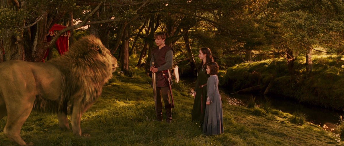 tyler ☠︎︎ tweet media