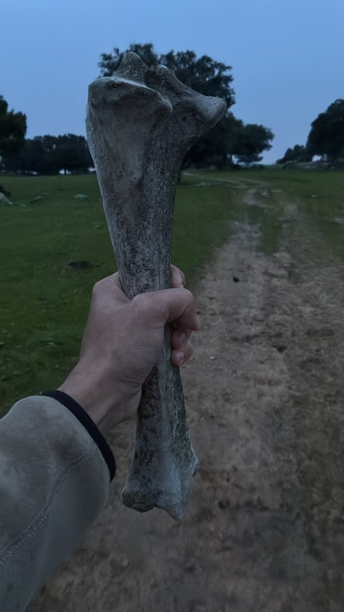 Duce Benjair Bolsolini tweet media