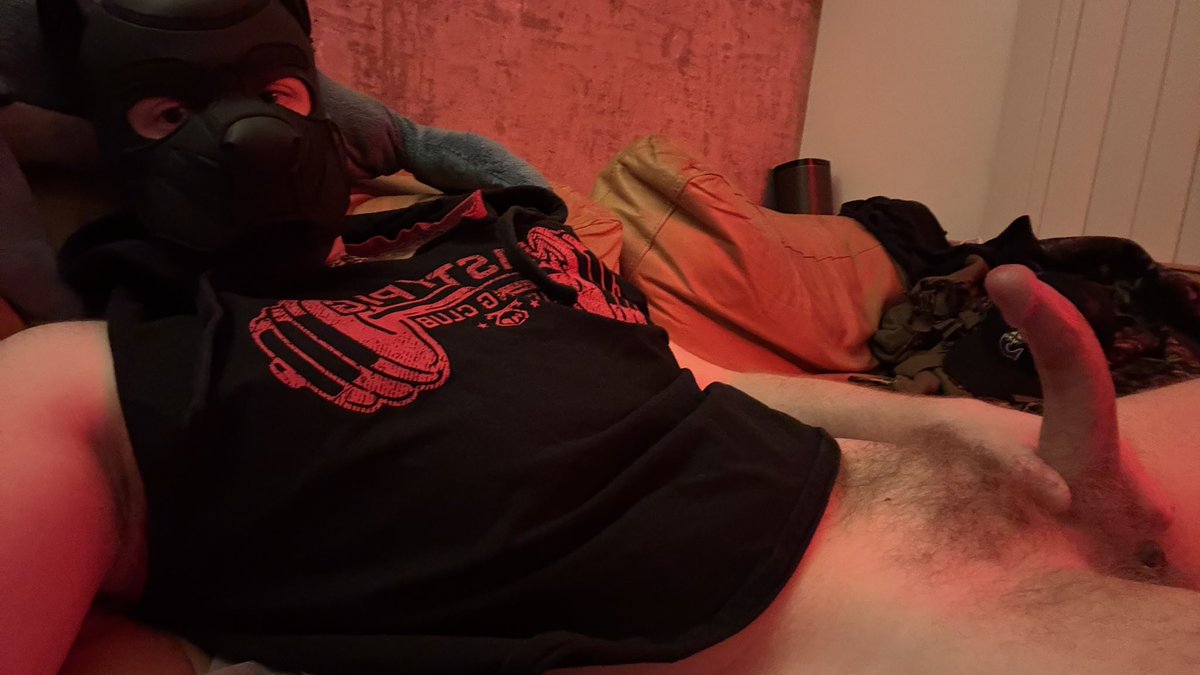 @PupDodger :3 tweet media