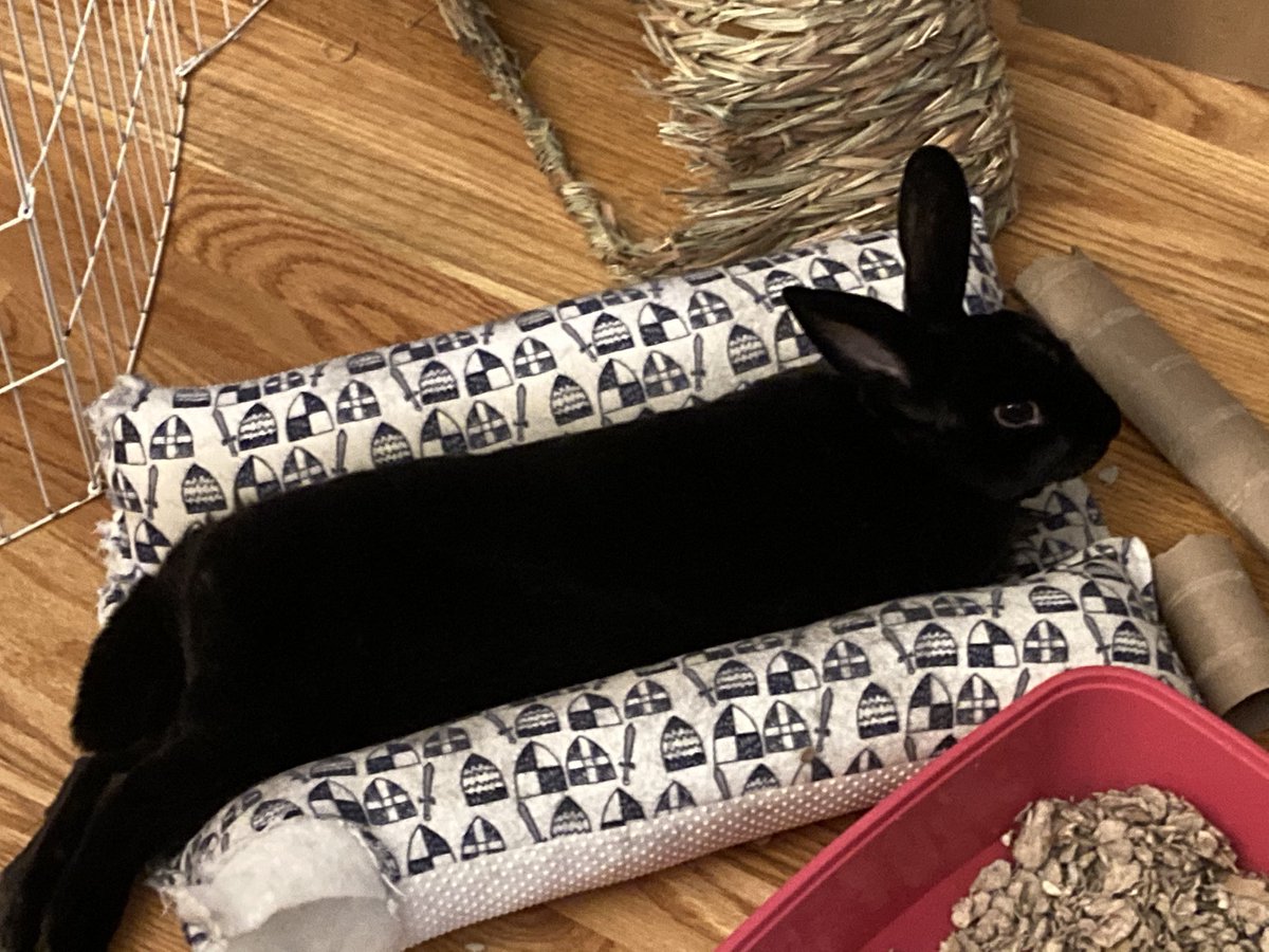 Ann Walton tweet media