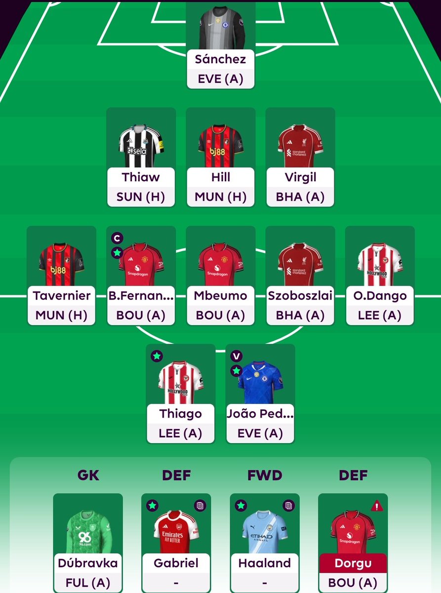 Tortoise Tips tweet media