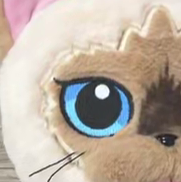 Mr. Miggles tweet media