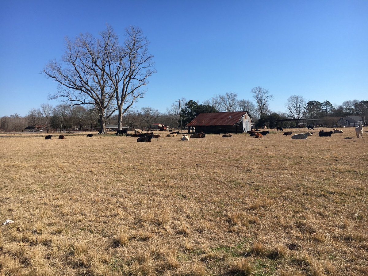 Brent Sanders tweet media