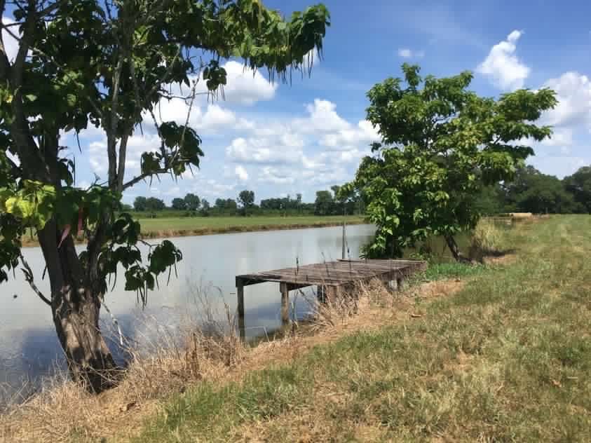 Brent Sanders tweet media