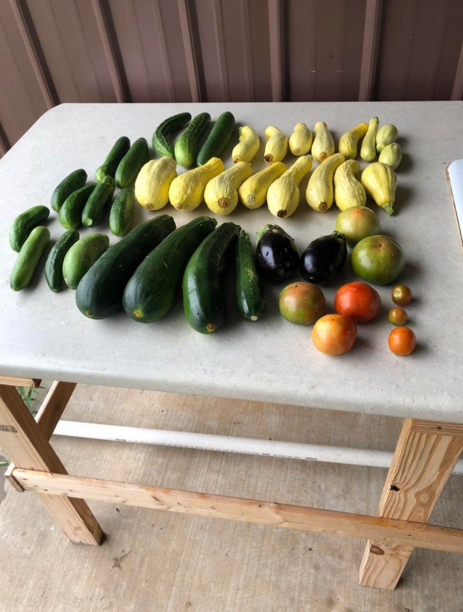 Brent Sanders tweet media