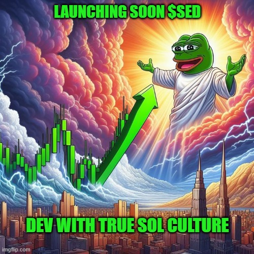 TrumpWifHat | Dev & Sol Fan tweet media